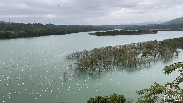 Magat & Maris Dam Bird-Watching Site / Wetlands Eco-Tourism Park