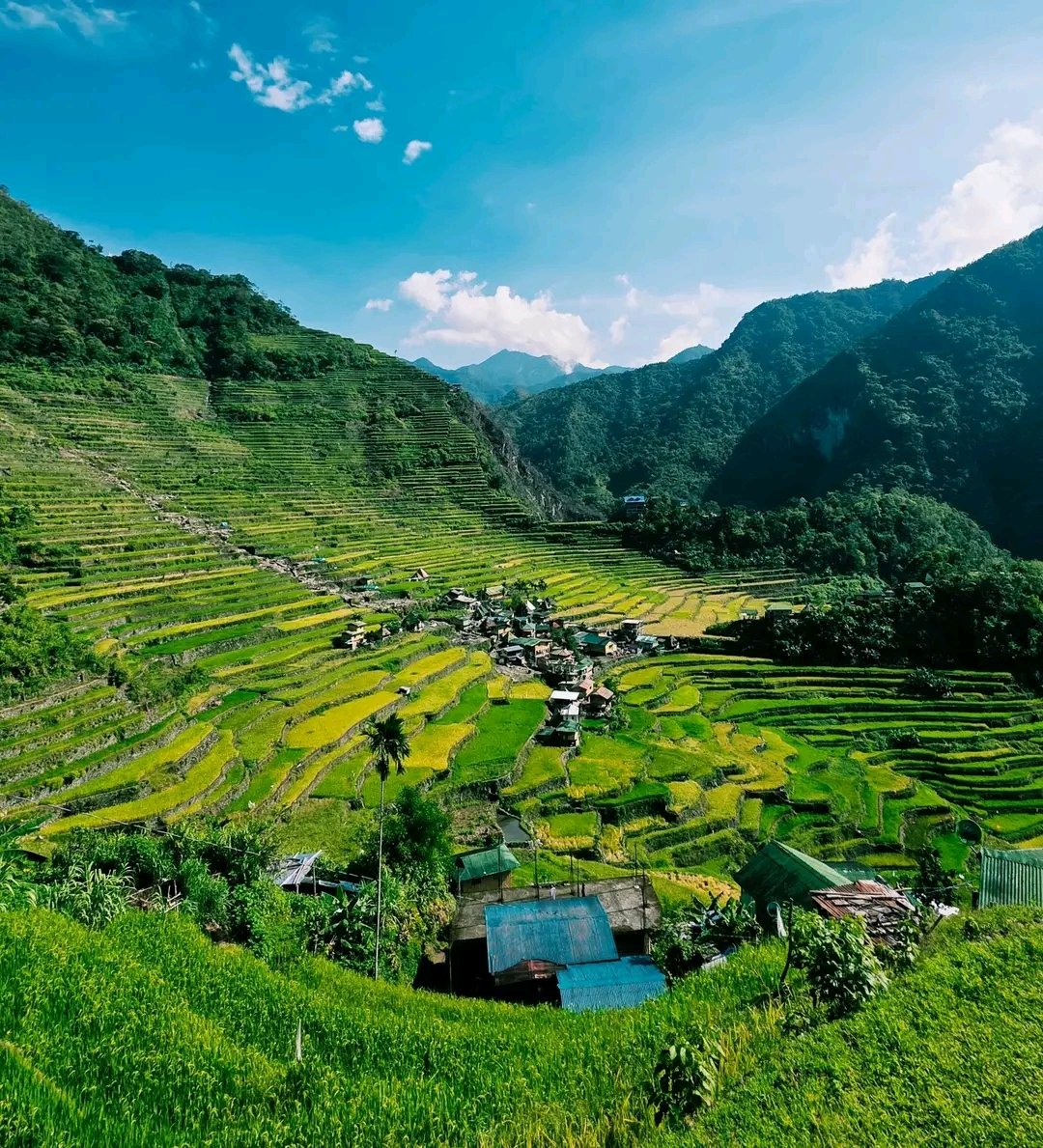 Batad Rice terraces - photo 4